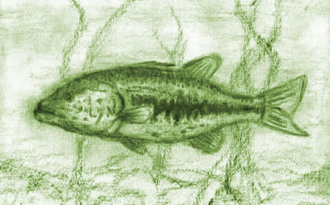 �f�b�T����potoshop