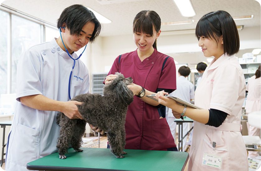 国家資格である愛玩動物看護師の取得を目指す！