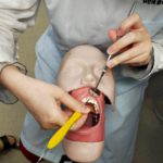 歯科衛生科　２年生　キュレット型スケーラー顎模型実習￼