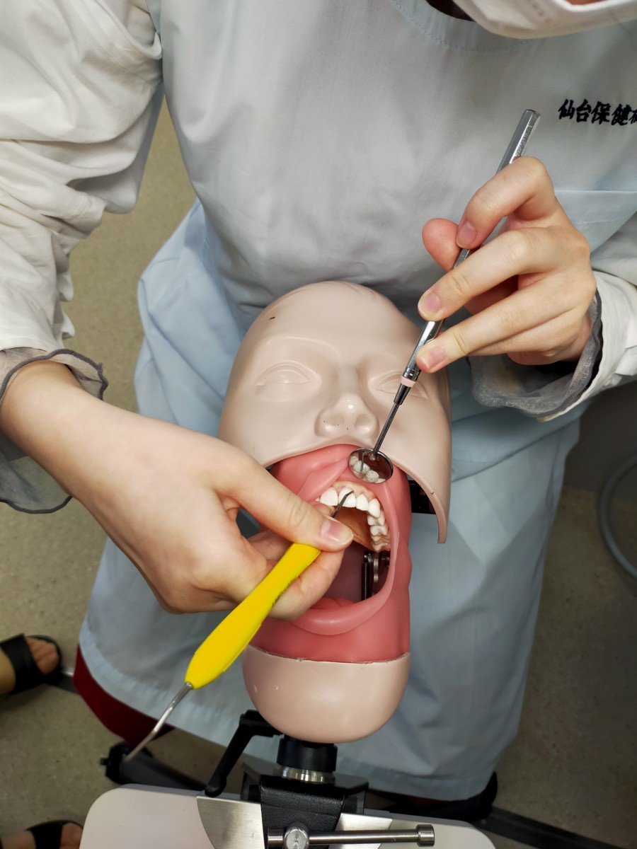 歯科衛生科 ２年生 キュレット型スケーラー顎模型実習￼ - 仙台保健