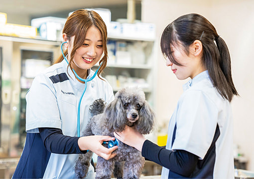 愛玩動物看護科