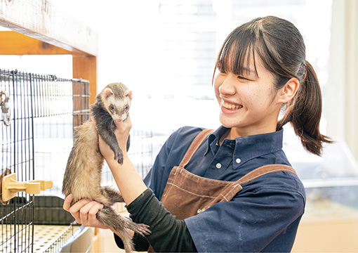 飼育管理科 飼育コース